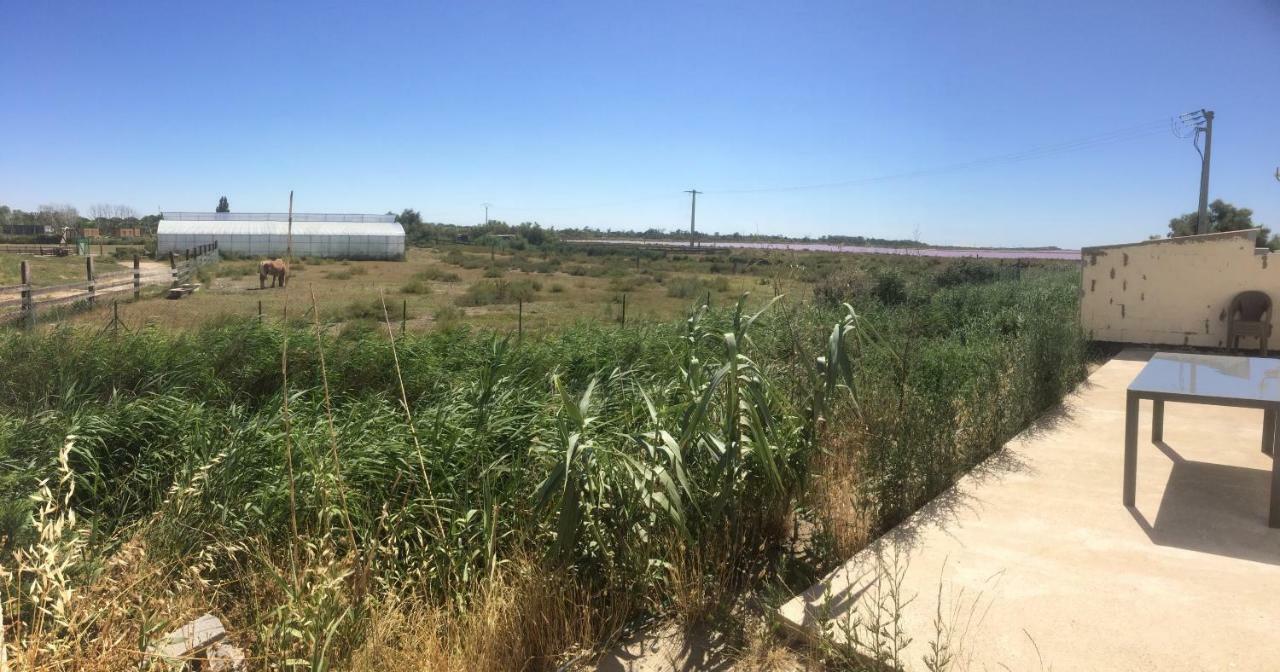 Appartamento En Camargue Salin-de-Giraud Esterno foto
